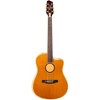 LR Baggs AEG-1 Torrefied Sitka Spruce Dreadnought Acoustic-Electric Guitar Natural - 2 of 4