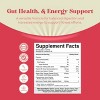 Apple Cider Vinegar Gummies for Detox Cleanse, Immune Support Digestion and Glowing Skin, Sugar-Free, Nature's Craft, 60ct - 3 of 4