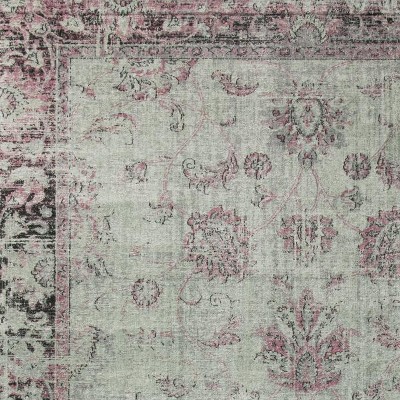 spruce/ivory