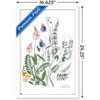 Trends International Botanical Collection - Wild Flowers Framed Wall Poster Prints - 3 of 4