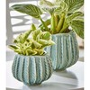 tag Cala Planter Large Lt Blue - 2 of 2