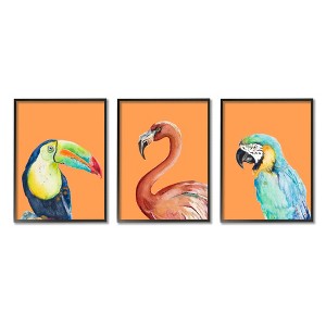 Stupell Industries Bold Tropical Birds Rainforest Animals Black Framed Giclee Art - 1 of 4