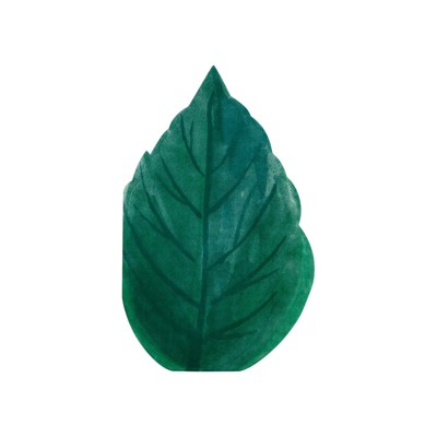 Meri Meri Rose Garden Leaf Napkins