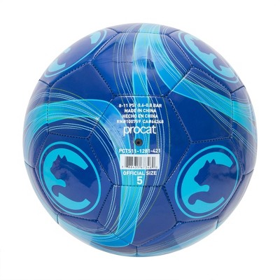 ProCat by Puma Cyclone Size 5 Sports Ball - Blue