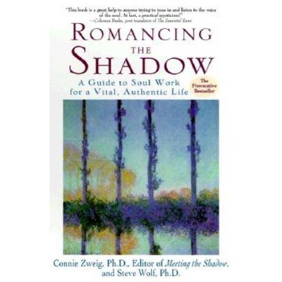 Romancing the Shadow - by  Connie Zweig & Steven Wolf (Paperback)