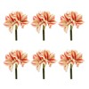 Amaryllis Flower Stem (Set of 6) - 3 of 3
