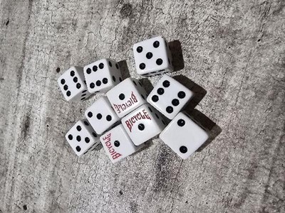 Bicycle discount poker dice