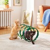 Spring Mesh Cat Tunnel - Boots & Barkley™ - 3 of 3