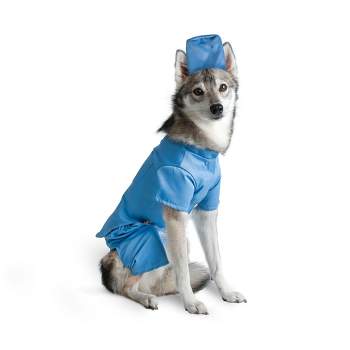 Midlee Scrubs Dog Costume - Large