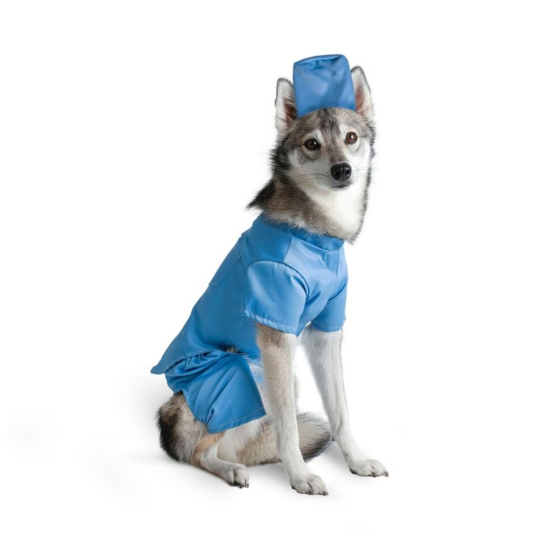 Midlee Scrubs Dog Costume - Large, 1 of 7