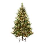 National Tree Company First Traditions Pre-Lit Charleston Pine Hinged Artificial Christmas Tree Clear Lights
