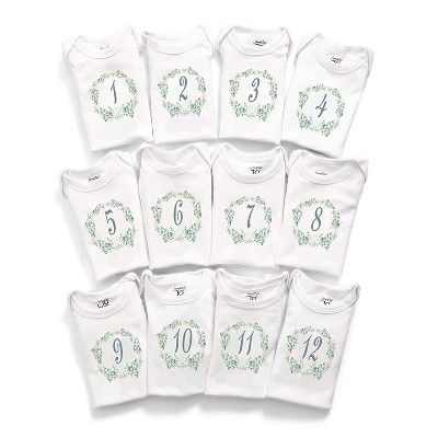 JumpOff Jo Baby Milestone Onesies, 12 Bodysuit Set for Photo Memories, Seize The Moments, Botanical