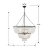 Crystorama Lighting Rylee 12 - Light Chandelier in  Matte Black - 4 of 4