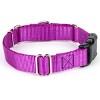 Country Brook Petz Heavy Duty Nylon Martingale Dog Collar with Deluxe Buckle - 30+ Vibrant Color Options - 4 of 4
