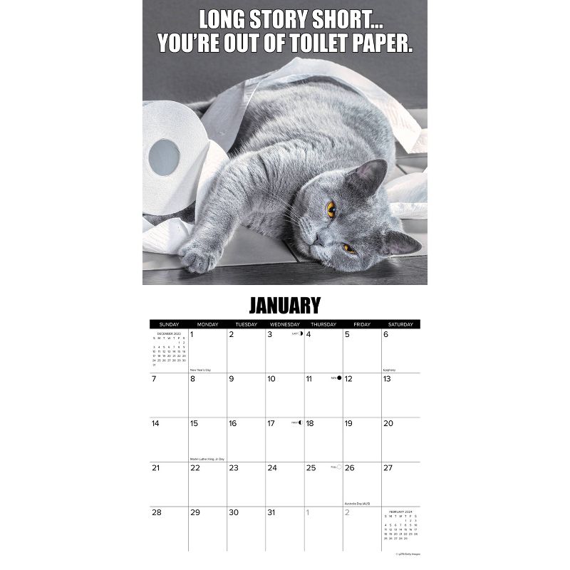 Willow Creek Press 2024 Wall Calendar 12&#34;x12&#34; Cat-Astrophe, 3 of 4