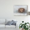 Trademark Fine Art -Ethan Harper 'Rustic Bird Nest Ii' Canvas Art - 3 of 4