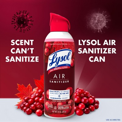 Lysol Aerosol Air Sanitizer - Berry Burst - 10oz: Multipurpose, Multi-Surface