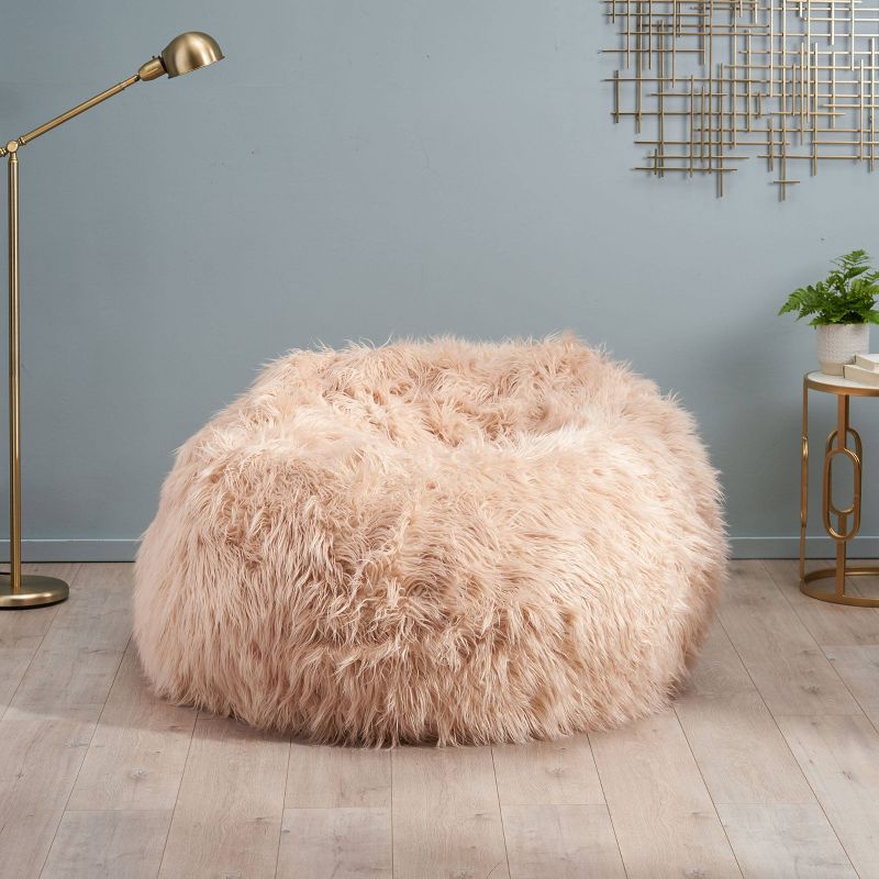 Lachlan Furry Bean Bag - Christopher Knight Home, 4 of 6