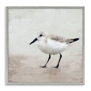 Stupell Industries Lone Sandpiper Bird Portrait, 24" x 24" - 1 of 4