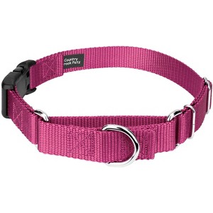 Country Brook Petz Heavy Duty Nylon Martingale Dog Collar with Deluxe Buckle - 30+ Vibrant Color Options - 1 of 4