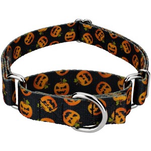 Country Brook Petz Happy Jack Martingale Dog Collar (1 Inch, Medium) - 1 of 4