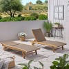 PAGED Patio Chaise Lounge Simple Wooden Folding Chair with Handle Modern Lounge Chair with Curved Design for Garden, Poolside - 2 of 4