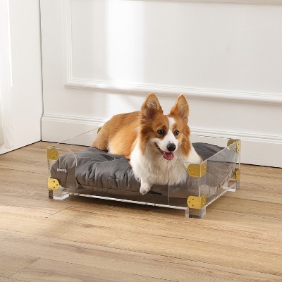 Haines 21.5" x 15.25" Small/Medium Clear Acrylic and Velvet Pet Bed with Brass Accents