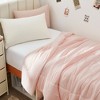 Dream Valley Soft Comforter, NASA Temperature Regulation Technology Throw Blanket - 4 of 4
