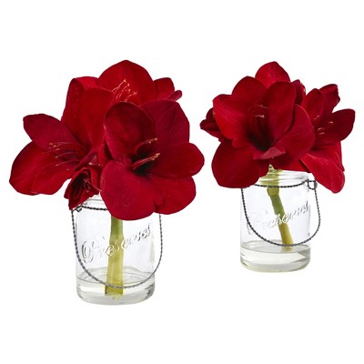 Amaryllis in Glass Vase (Set of 2) - Nearly Natural