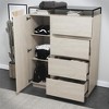 RealRooms Devon 4-Drawer Dresser with Door - 4 of 4