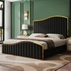 AMERLIFE Bed Frame with 61.4" High Velvet  Upholstered Headboard and Footboard - 3 of 3