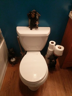 Guest review image 1 of 1, zoom in