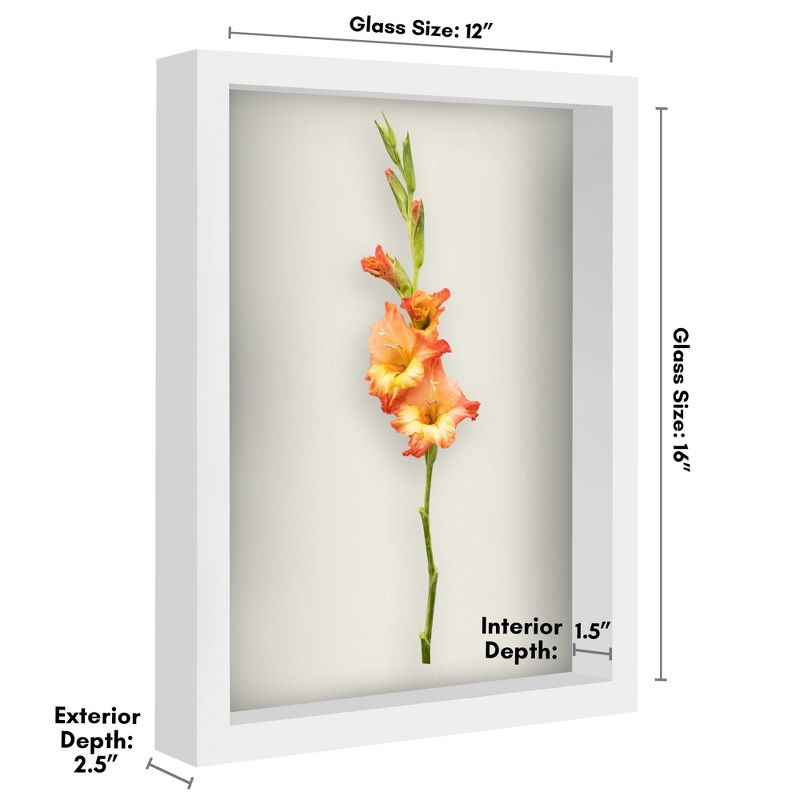 Americanflat Shadow Box Frame 1.5 Inches Deep Box Frame for Objects Pictures and Memorabilia, 3 of 9