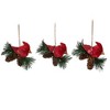 Northlight 3ct Cardinal Birds on Pine Cones Christmas Ornament Set 5" - Red/Brown - 3 of 4