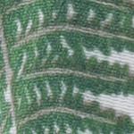 green gray