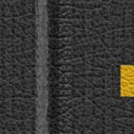 pittsburgh steelers