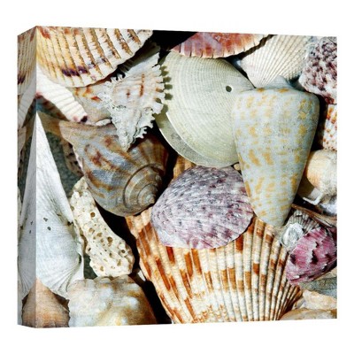 16" x 16" Shells By The Sea I Decorative Wall Art - PTM Images