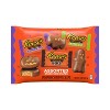 Reese's Peanut Butter Milk Chocolate Assorted Shapes Halloween Candy Snack Size - 9oz - 2 of 4