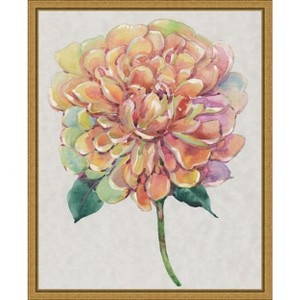 Amanti Art Multicolor Floral Peony I by Tim O'Toole Canvas Wall Art Print Framed 16 x 20-in. - 1 of 4