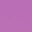platycodon purple