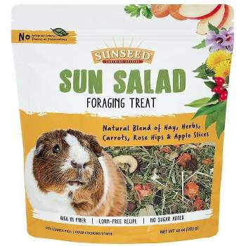 Sunseed Sun Salad Guinea Pig Foraging Treat - 10 oz