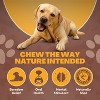 WhiteTail Naturals Deer Antlers for Dogs – 1 lb Bulk Pack – Durable, Naturally Shed Chew Bones for Aggressive Chewers & Dental Health - 4 of 4