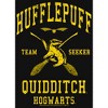 Girl's Harry Potter Hufflepuff Quidditch Seeker T-Shirt - 2 of 4