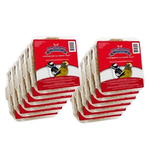 Armstrong Wild Bird Food Cranberry and Cherry Suet Cake, 11.3oz (Pack of 12) - 1 of 4
