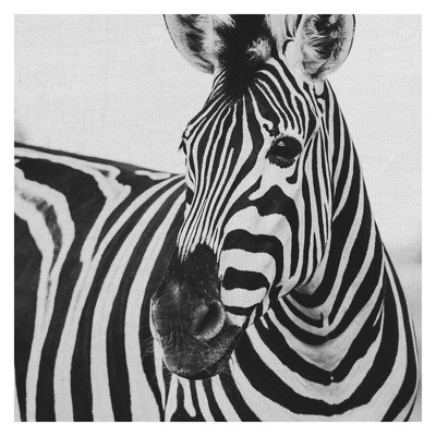 Zebra Close Up By Frida Bredesen Wrapped Unframed Wall Canvas Art - Masterpiece Art Gallery