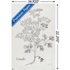 Trends International Jean Plout - Botanical Studies on Paper Coriander Unframed Wall Poster Prints - 3 of 4