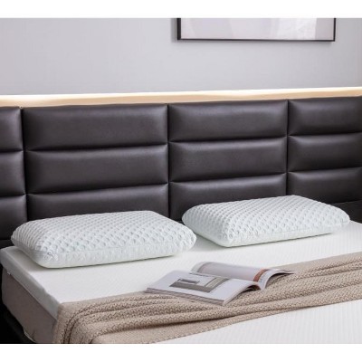 PDTEND Ventilated Gel Memory Foam Pillow Dual-Sided Washable Cover for All Seasons -  Standard