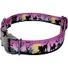 Country Brook Petz Premium Dog Collar - Halloween Collection - 2 of 4