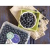 Blueberries - 32oz - 2 of 4