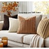 LISM 18x18 Faux Fur Plush Pillowcases,Decorative Striped Throw Pillow Covers Set of 4 - 3 of 4